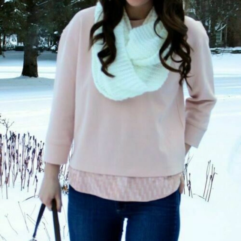 NWT J Crew Sequin Trim Sweatshirt Top Blush Pink E4182 Women's Size Large H12697 - Picture 12 of 12